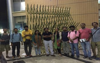 Disability & Disaster